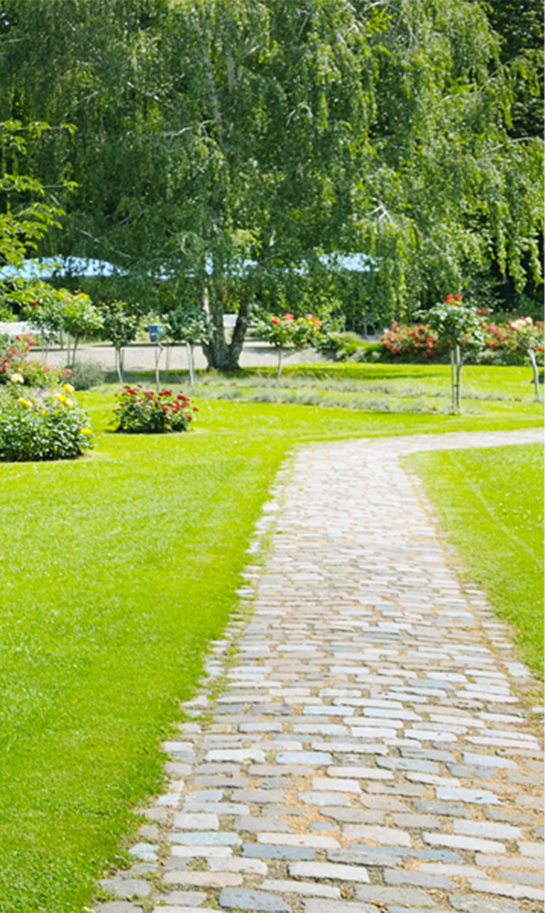 Farnaby Turf